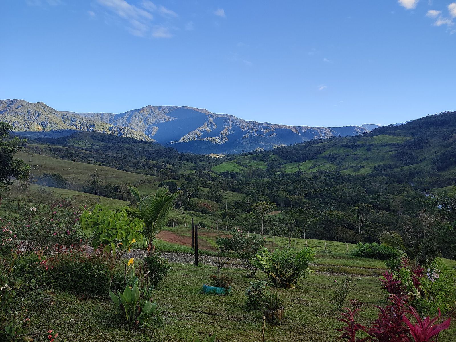 Open green pasture rising toward tree-covered hills.